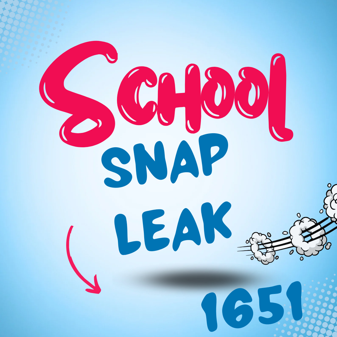 Snap leak_20240411_225529_0000.png