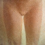 IMG_5956.jpeg
