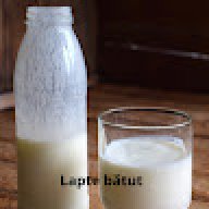 Lapte Batut