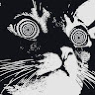 Кот «Ghostovich» Гостович