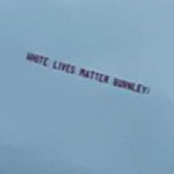 inviting_otter_87837