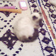 oldache belkacem zakaria