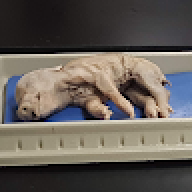 Koriand'r (Starfire)