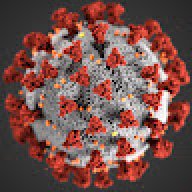 Corona Virus