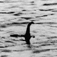 Lochness Monster