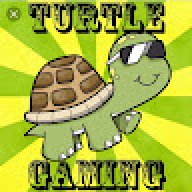 1111 Turtle