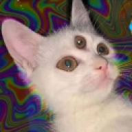 rayo_bgcd