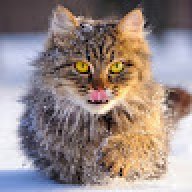 ghuois