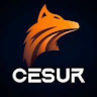 CESUR INNOVATIONS