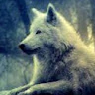 Xx_TheWolf Gameplays_xX