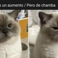 DRMMM