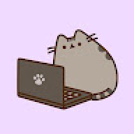 Kitten Actual