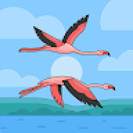 Sss443334