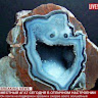 M9snoy Blin