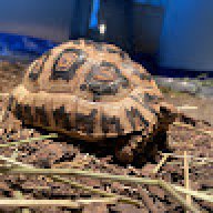 JackRabbit1995