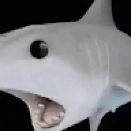 Reikakaka