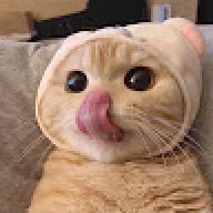 Ngynxx