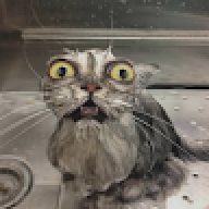 Chris June Javaluyas