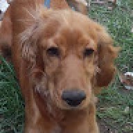 HALİL SADİ BÜLBÜL
