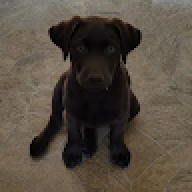Nathannug8