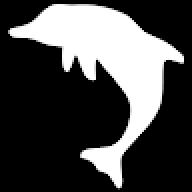 Swaggy Dolphin