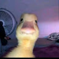 Chjbdethvv