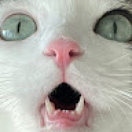 hnxfgcbfxvd