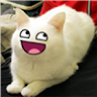 Catguy TheCat