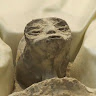 WaldharTyphon