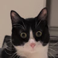 poopoopeepee1237373