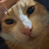 Gerrlop