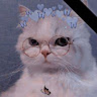 rina.2004