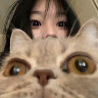 LIKECATS