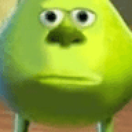 Skibidibruh