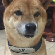 楊宗諺
