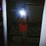 Bruno_mir