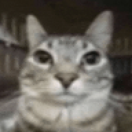 Bigmannl04