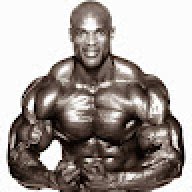 Mahmoud bodybuilder