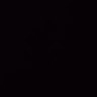 BWC33