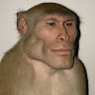queijomofoado