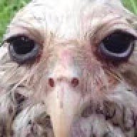 donald darko