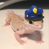 officer gecko UTTP