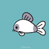 Holy911Fish