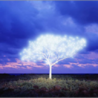 glowtrees.