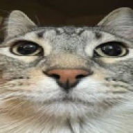jonkster14