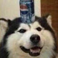 Perro Pepsi