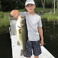 Nice_hogs