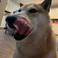 auroraz