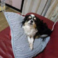 鴉天狗