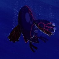 kyogre